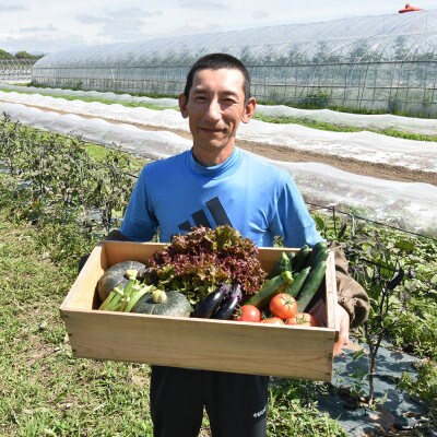 【発送月固定定期便】【7～9月発送】旬の野菜詰合せ6～8種類 栽培期間中農薬不使用_04701全3回