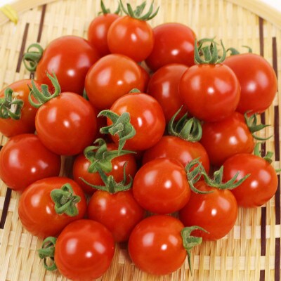 【発送月固定定期便】【7～9月発送】旬の野菜詰合せ6～8種類 栽培期間中農薬不使用_04701全3回