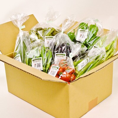 【発送月固定定期便】【7～10月発送】旬の野菜詰合せ6～8種類 栽培期間中農薬不使用04702全4回