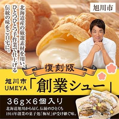 北海道旭川市製造 創業シュー 36g×6_04743