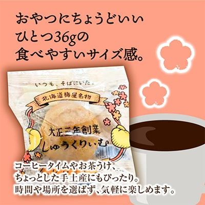 北海道旭川市製造 創業シュー 36g×6_04743