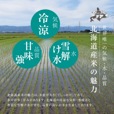 令和8年産 北海道産 ゆめぴりか 特A 10kg 精米 DEMI PROJECT_03886