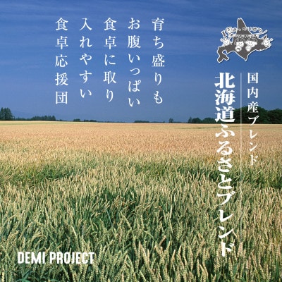 令和8年産 北海道ふるさとブレンド米 10kg 精米 DEMI PROJECT _06571