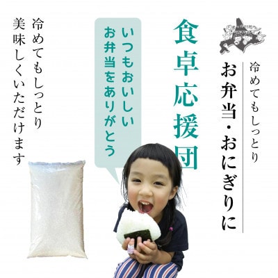 【毎月定期便】北海道産特Aななつぼし10kg_05577全2回