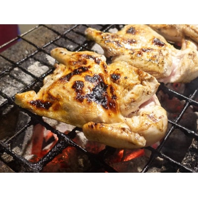 旭川名物新子焼き　計640g(320g×2個入り)_04869