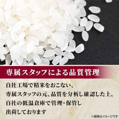 令和7年産北海道産特Aゆめぴりか10kg(5kg×2)_05594