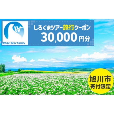 【旭川市】しろくまツアーで利用可能なWEB旅行クーポン (30,000円分)_05218