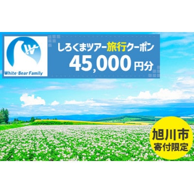 【旭川市】しろくまツアーで利用可能なWEB旅行クーポン (45,000円分)_05219