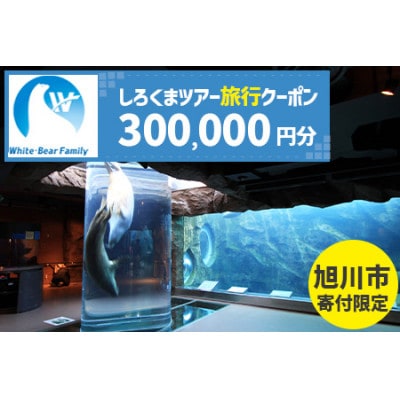【旭川市】しろくまツアーで利用可能なWEB旅行クーポン (300,000円分)_05222