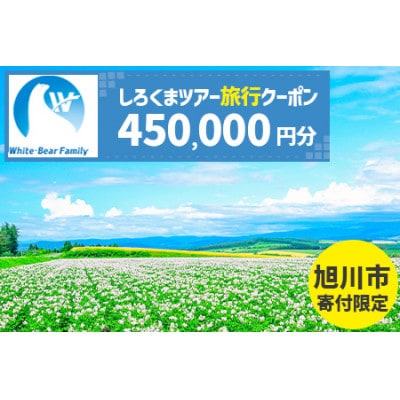 【旭川市】しろくまツアーで利用可能なWEB旅行クーポン (450,000円分)_05223