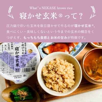 寝かせ玄米ごはんパック 北海道旭川産ゆめぴりか100%【160g×24食】_05528