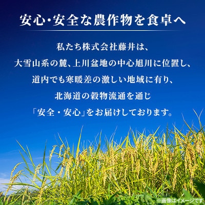 【毎月定期便】【特A】旭川産ゆめぴりか　精米10kg(5kg×2)お米_06638　全3回