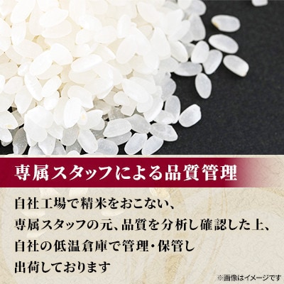 【毎月定期便】【特A】旭川産ゆめぴりか　精米10kg(5kg×2)お米_06637　全6回