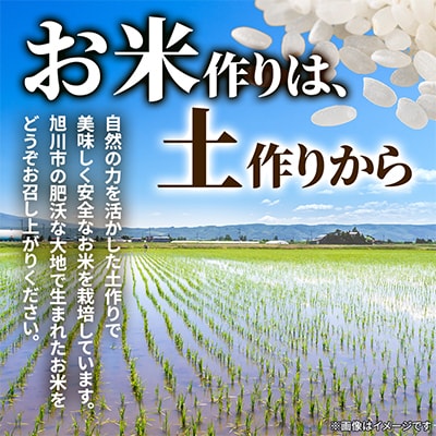 【北海道旭川市】令和7年産ゆめぴりか(無洗米 真空パック)10kg(5kg×2袋)_05241