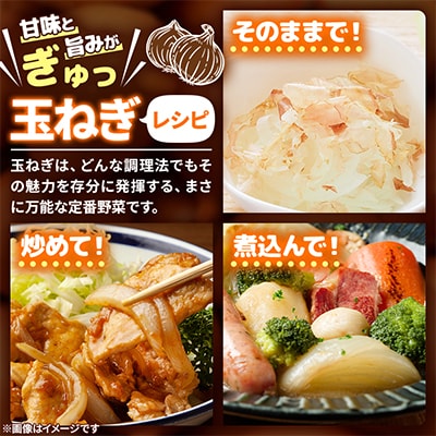 【農家直送】【低農薬】北海道産玉ねぎ20kg(Lサイズ)旭川産_タマネギ_玉葱_たまねぎ_05935