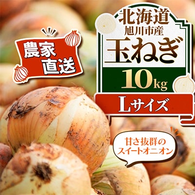 【農家直送】北海道産玉ねぎ10kg(Lサイズ)_06552