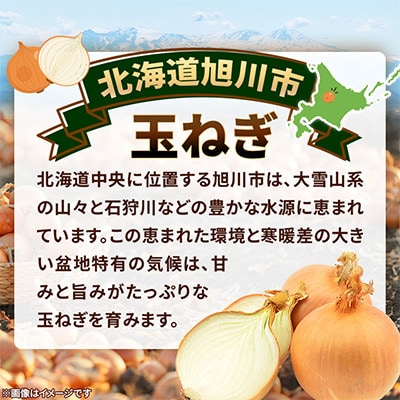 【農家直送】北海道産玉ねぎ10kg(Lサイズ)_06552