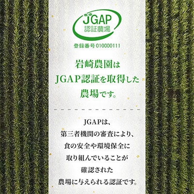 【北海道旭川産】ゆめぴりか 5kg 北海道米_05232