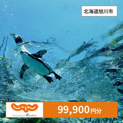 【じゃらんふるさと納税クーポン】 北海道旭川市でつかえる99,900円 クーポン