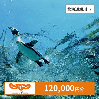 【じゃらんふるさと納税クーポン】 北海道旭川市でつかえる120,000円 クーポン