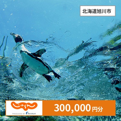【じゃらんふるさと納税クーポン】 北海道旭川市でつかえる300,000円 クーポン