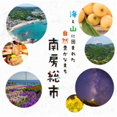 鯨(くじら)のたれ(半生90g×3・かた干し70g×2)セット　mi0012-0031