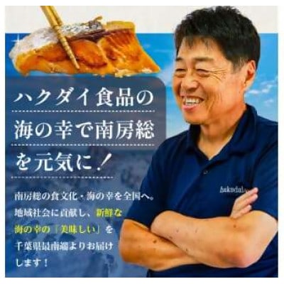 B-3 こだわり干物セット(真あじ・さんま・いか・金目鯛・さんま丸干しなど)　mi0012-0111