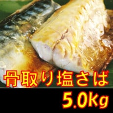 骨取り塩さば　切身5kg(500g×10袋)脂乗りの良いノルウェー産【訳あり:大きさ不揃い】