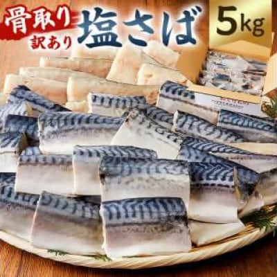 骨取り塩さば　切身5kg(500g×10)脂乗良好【訳あり】　mi0012-0098