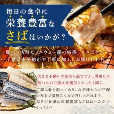骨取り塩さば　切身5kg(500g×10)脂乗良好【訳あり】　mi0012-0098