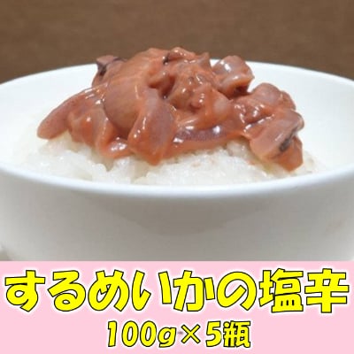 小分け　イカの塩辛　500g　一本造り(瓶入り100g×5本)スルメイカ使用　mi0012-0121