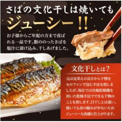 小分け　さば　文化干し　3枚入り×10パック　真空パック　mi0012-0105