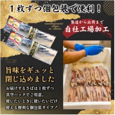 さば　塩麹漬け　約120g×5枚　個包装　mi0012-0099