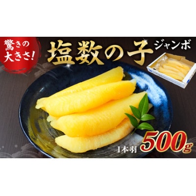 数の子ジャンボ　1本羽　500g　mi0012-0069