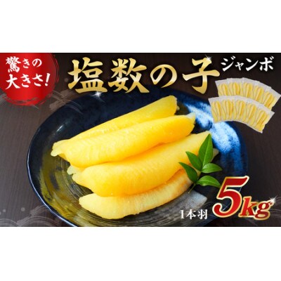 数の子ジャンボ　1本羽　5kg　小分け(500g×10袋)　mi0012-0072