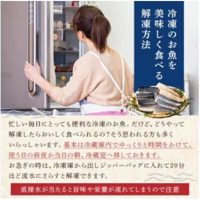 【訳あり】骨取り塩さば　フィーレ1kg(1kg×1袋) mi0012-0155