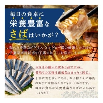 【訳あり】骨取り無塩さば　切り身1kg(500g×2袋) mi0012-0161