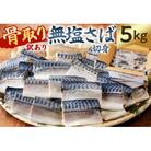 【訳あり】骨取り無塩さば　切り身5kg(500g×10袋) mi0012-0164