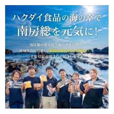 骨取り 肉厚アジフライ切り身 1.5kg (500g×3袋) mi0012-0172