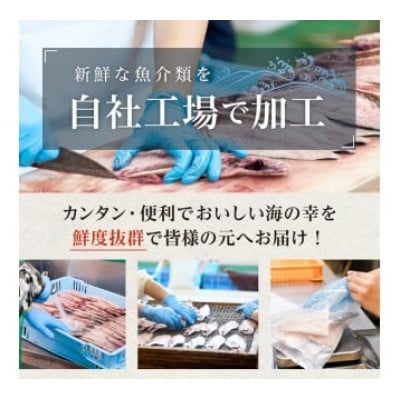骨取り 肉厚アジフライ切り身 2.5kg (500g×5袋) mi0012-0174
