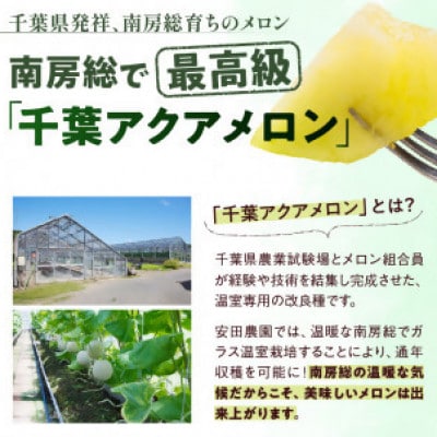 千葉アクアメロン(マスクメロン)1.2kg以上1個入りmi0018-0001