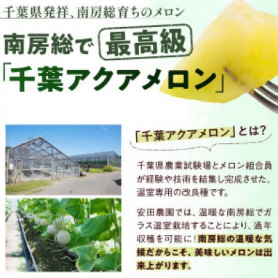 千葉アクアメロン(マスクメロン)1.4kg以上1個入り　mi0018-0002