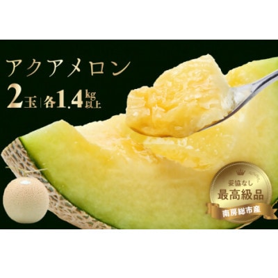 千葉アクアメロン(マスクメロン)1.4kg以上2個入りmi0018-0003