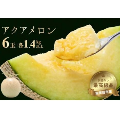 千葉アクアメロン(マスクメロン)1.4kg以上6個入りmi0018-0006