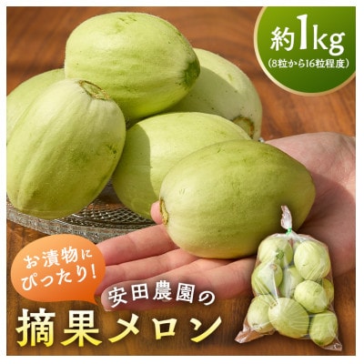 安田農園の摘果メロン(子メロン)1kg　mi0018-0011