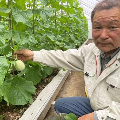 安田農園の摘果メロン(子メロン)1kg　mi0018-0011