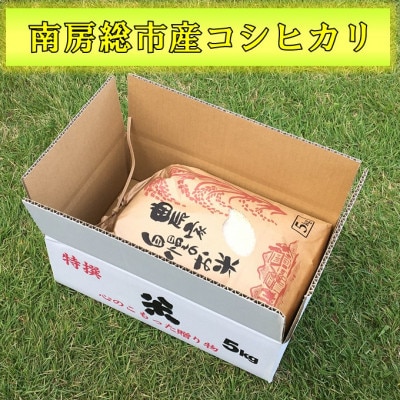 南房総市産コシヒカリ5kg