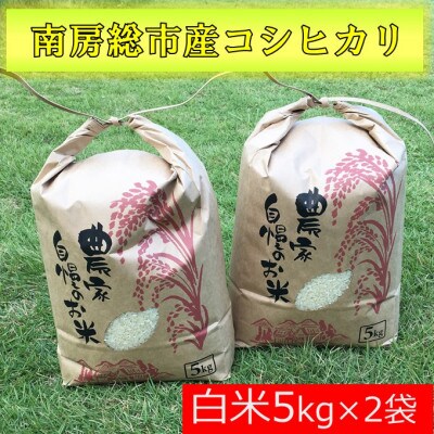 南房総市産コシヒカリ10Kg(5kg×2袋)