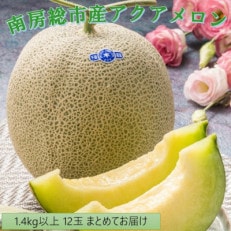 南房総市産アクアメロン(マスクメロン)12玉【まとめてお届け】　mi0018-0009