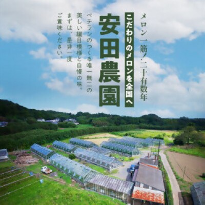 南房総市産アクアメロン(マスクメロン)12玉【まとめてお届け】　mi0018-0009